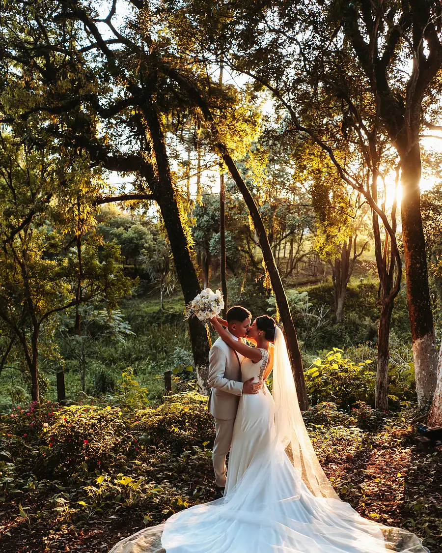 Noivos no bosque ao pôr do sol
